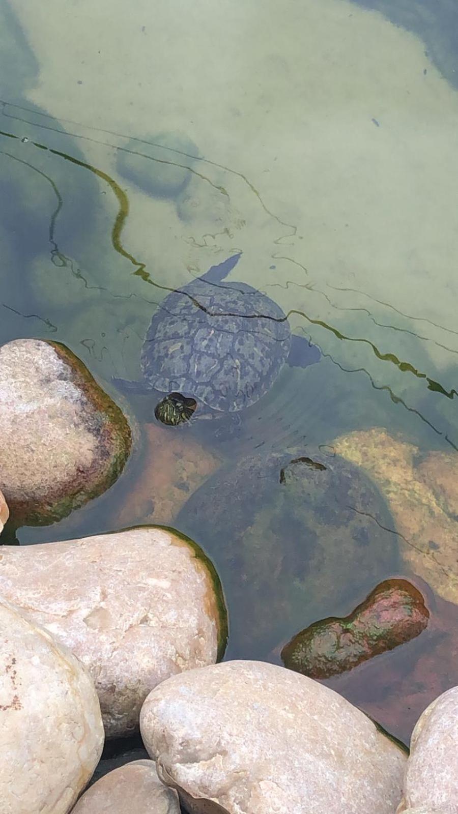 Pousada Vo Lica Com Piscina Penha  Buitenkant foto